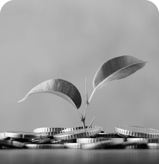 Plant growing from coins symbolizing financial growth